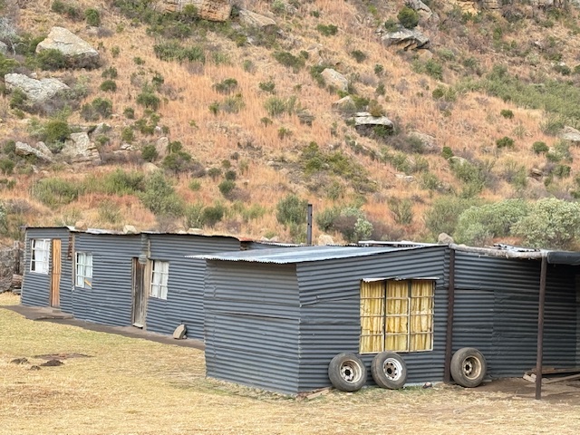 Yellow and Grey - trending